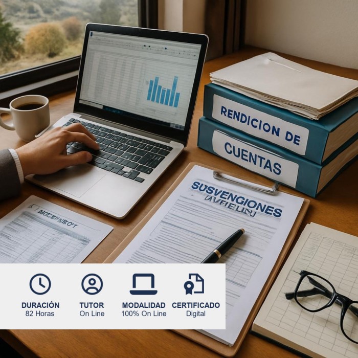Curso de Subvenciones y Rendiciones
